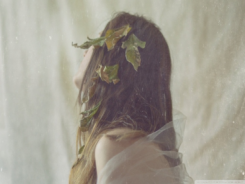 宠物医院试管,试管移植加拿大